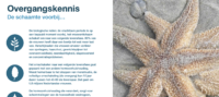 Overgang op de agenda eboek Nieuw Getij Stef Boes