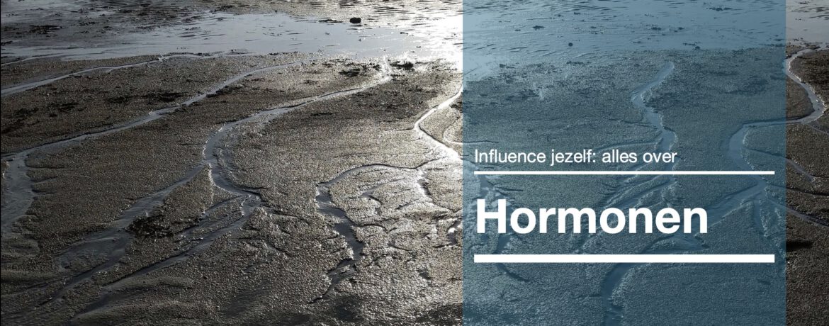 Cover van eboek over hormonen door Stef Boes, overgangsverpleegkundige