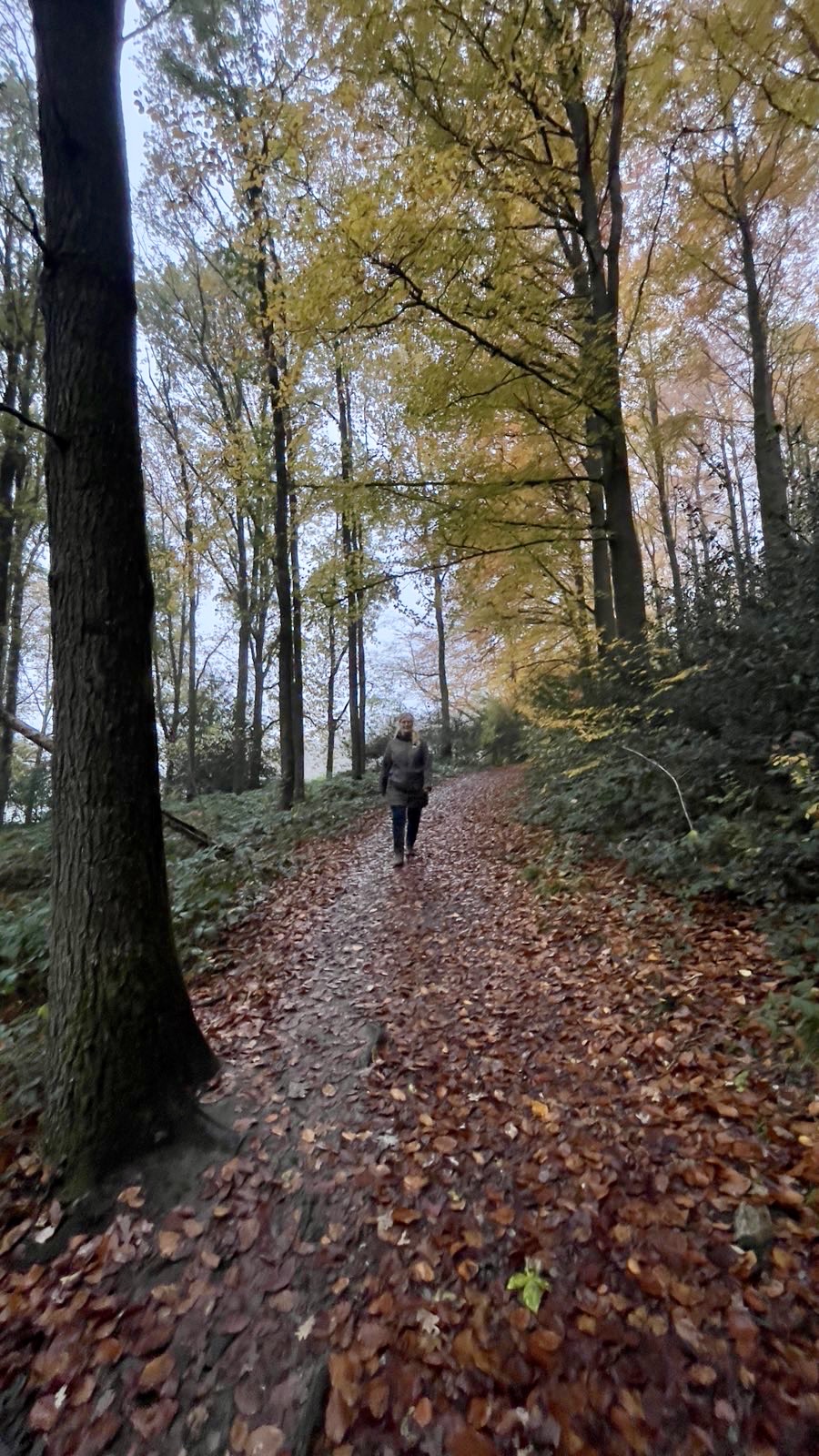Overgangsconsulent Stef Boes beweegt graag, hier te zien in een bos